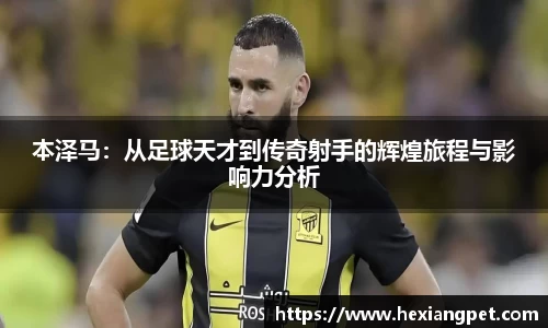 乐发III官网
