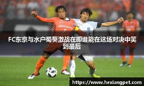 乐发III彩票平台