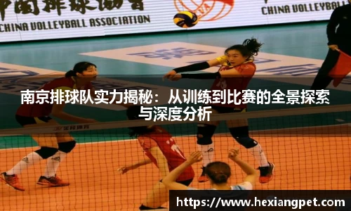 乐发III彩票平台